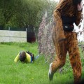 2019-05-08 06.15.10.jpg
